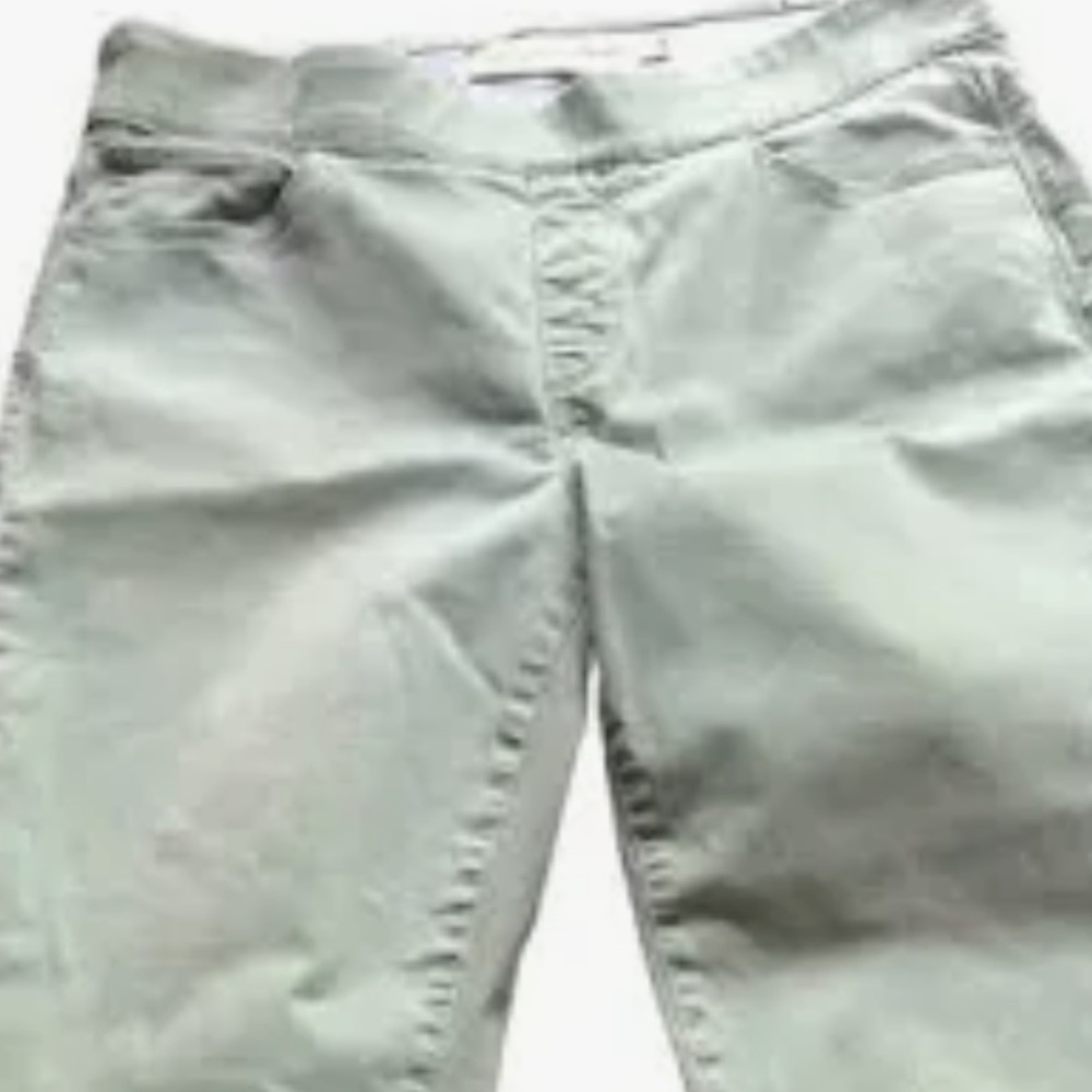 Soft Surroundings Mint  Straight Leg Jeans